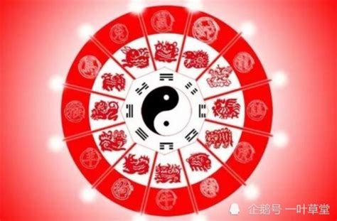 卯申暗合金|地支卯申暗合(卯申暗合,一直不好意思说)